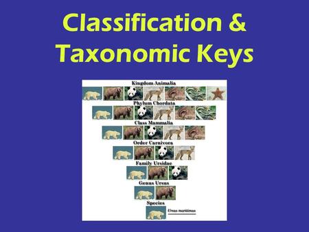 Classification & Taxonomic Keys. Any characteristic of an organism that makes it better able to survive in its environment. ADAPTATION.