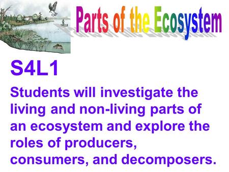Parts of the Ecosystem S4L1