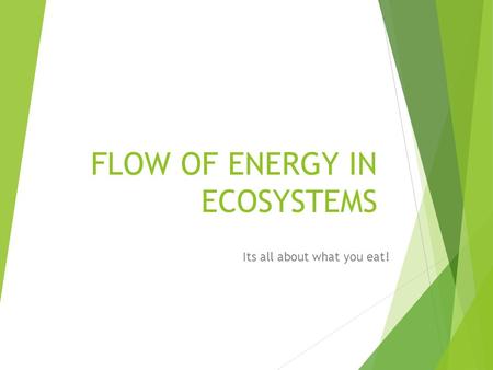 FLOW OF ENERGY IN ECOSYSTEMS Its all about what you eat!
