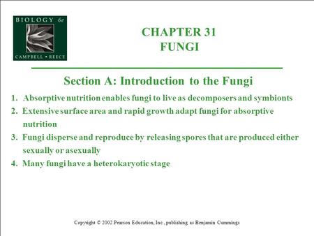 CHAPTER 31 FUNGI Copyright © 2002 Pearson Education, Inc., publishing as Benjamin Cummings Section A: Introduction to the Fungi 1.Absorptive nutrition.