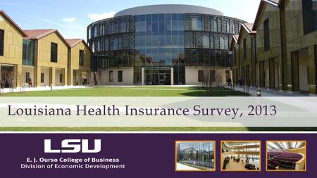 Louisiana Health Insurance Survey, 2013. Provides detailed data on Louisiana’s uninsured population Assists in planning programs and targeting outreach.