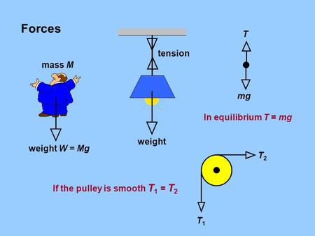 Forces T tension mass M mg In equilibrium T = mg weight weight W = Mg