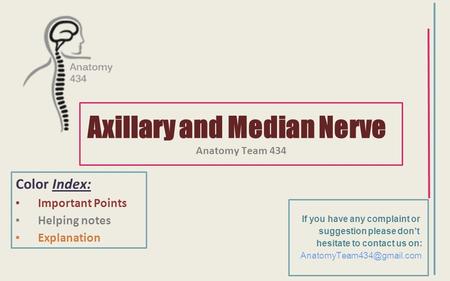 Axillary and Median Nerve