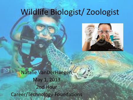 Wildlife Biologist/ Zoologist Natalie VanDerHaegen May 1, 2013 2nd Hour Career/Technology Foundations.