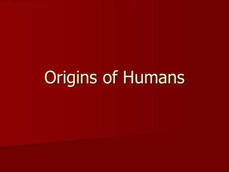 Origins of Humans. Prehistory Prehistory – putting the pieces of the past together for times when we have no written records.