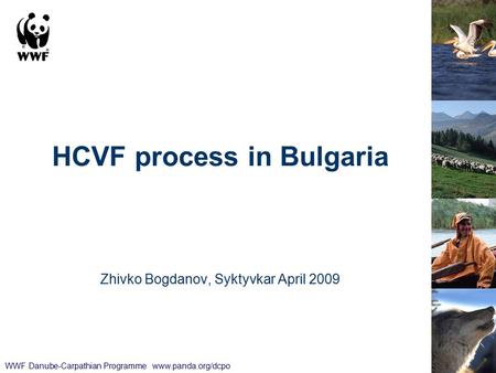 HCVF process in Bulgaria Zhivko Bogdanov, Syktyvkar April 2009 WWF Danube-Carpathian Programme www.panda.org/dcpo.
