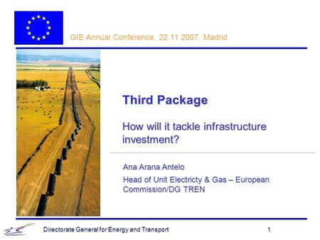 Directorate General for Energy and Transport1 Ana Arana Antelo Head of Unit Electricty & Gas – European Commission/DG TREN GIE Annual Conference, 22.11.2007,