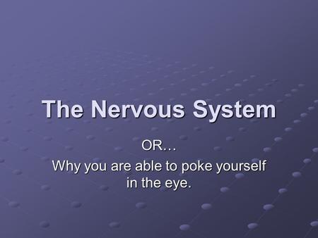 The Nervous System OR… Why you are able to poke yourself in the eye.