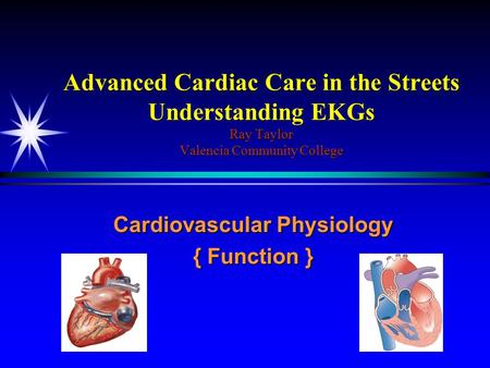Cardiovascular Physiology { Function }
