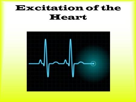 Excitation of the Heart. Intro Muscle cells of the myocardium are excitable: with electrical stimulation they will contract Leads to contraction of heart.