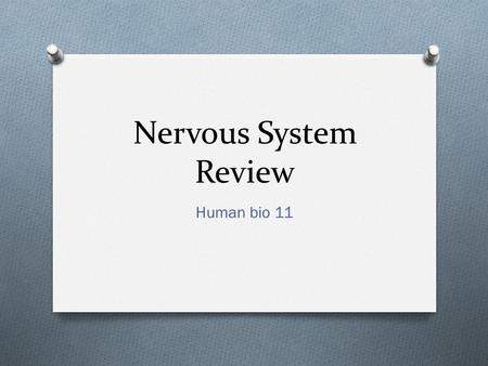 Nervous System Review Human bio 11. Parts of the Nervous System.