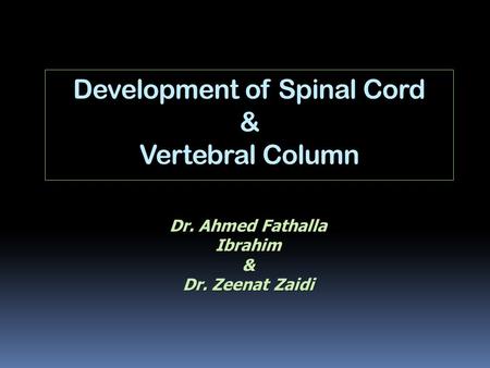 Development of Spinal Cord & Vertebral Column