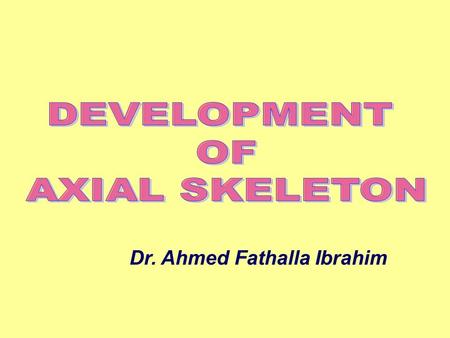 DEVELOPMENT OF AXIAL SKELETON Dr. Ahmed Fathalla Ibrahim.