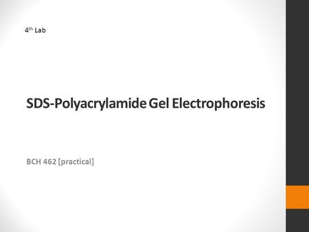SDS-Polyacrylamide Gel Electrophoresis