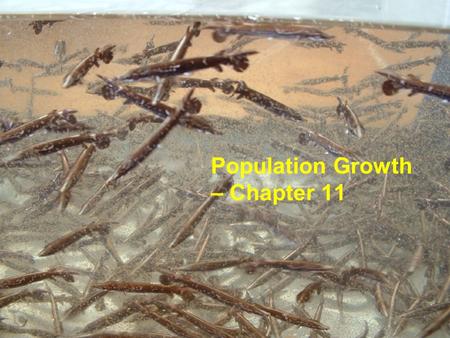 Population Growth – Chapter 11
