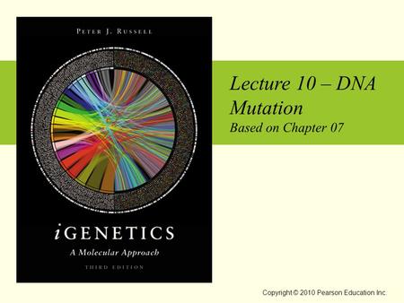 Lecture 10 – DNA Mutation Based on Chapter 07 Copyright © 2010 Pearson Education Inc.