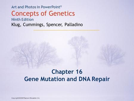 Copyright © 2009 Pearson Education, Inc. Art and Photos in PowerPoint ® Concepts of Genetics Ninth Edition Klug, Cummings, Spencer, Palladino Chapter 16.