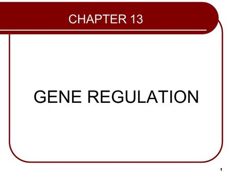 CHAPTER 13 GENE REGULATION 1. 2 Mutation Mutation is a permanent change in the sequence of bases in DNA. Protein is completely inactivated Germ-line mutations.