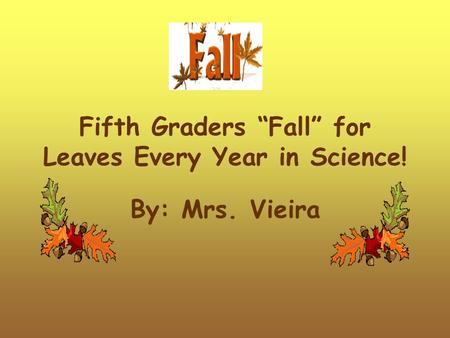 Fifth Graders “Fall” for Leaves Every Year in Science! By: Mrs. Vieira.