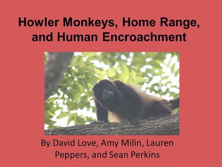 Howler Monkeys, Home Range, and Human Encroachment By David Love, Amy Milin, Lauren Peppers, and Sean Perkins.
