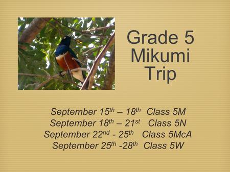 Grade 5 Mikumi Trip September 15 th – 18 th Class 5M September 18 th – 21 st Class 5N September 22 nd - 25 th Class 5McA September 25 th -28 th Class 5W.