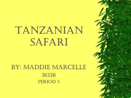 Tanzanian Safari By: Maddie Marcelle 36338 Period 5.