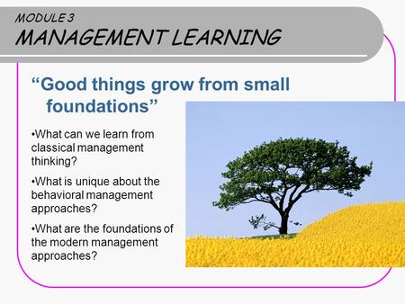 MODULE 3 MANAGEMENT LEARNING “Good things grow from small foundations” What can we learn from classical management thinking? What is unique about the behavioral.