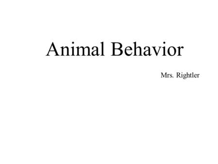 Animal Behavior Mrs. Rightler. Methods of Study Comparative psychology Ethology Behavioral ecology Sociobiology.