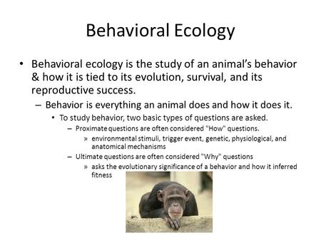 Behavioral Ecology Behavioral ecology is the study of an animal’s behavior & how it is tied to its evolution, survival, and its reproductive success. –