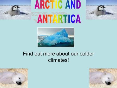 Find out more about our colder climates!. The Arctic is northernmost part of the earth, also the Arctic is home to the North pole. Did you know that Arctic.