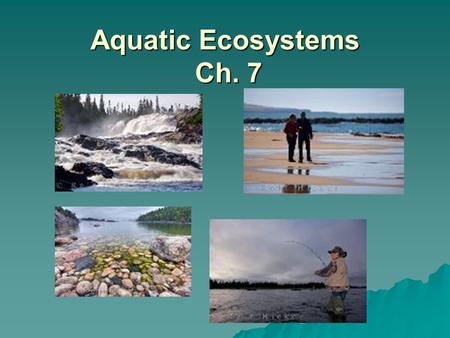 Aquatic Ecosystems Ch. 7.