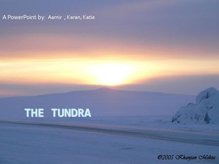 THE TUNDRA A PowerPoint by: Aamir, Karan, Katie The Tundra The Tundra is an icy, freezing biome that is mostly permafrost. It is the world’s youngest.