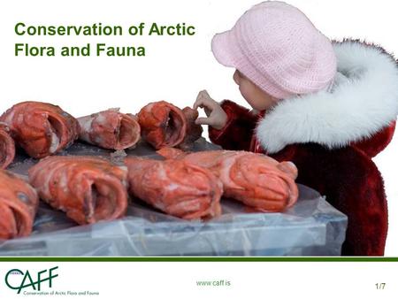 1/7 www.caff.is Conservation of Arctic Flora and Fauna.