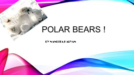 POLAR BEARS ! BY NANDITA KALYAN. WHAT ARE POLAR BEARS? They are white bears that live in Antarctica… They feed on seals and fish… they also burrow in.