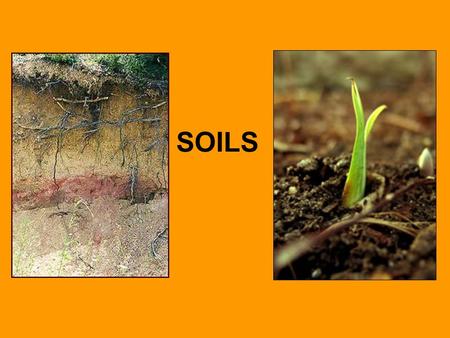 SOILS Great civilizations began because of farming... good soil and fresh water is needed for farming Ancient Egyptian and Mesopotamian societies are.