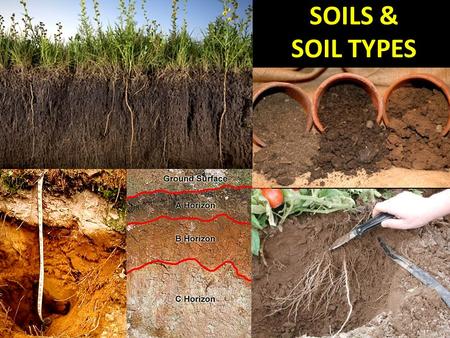SOILS & SOIL TYPES. What is soil? Soil is one of the basic resources we need to survive – like air and water. the surface layer of the Earth that contains.
