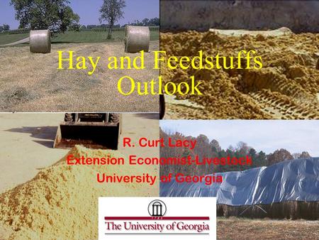 Hay and Feedstuffs Outlook R. Curt Lacy Extension Economist-Livestock University of Georgia.