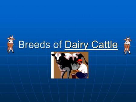 Breeds of Dairy Cattle Dairy CattleDairy Cattle. Focus What details can you tell me about a dairy cow? What details can you tell me about a dairy cow?