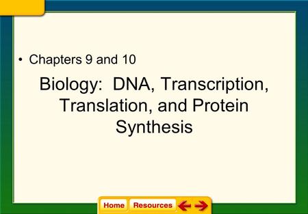Biology: DNA, Transcription, Translation, and Protein Synthesis