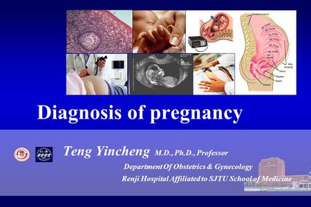 Diagnosis of pregnancy Teng Yincheng M.D., Ph.D., Professor Department Of Obstetrics & Gynecology Renji Hospital Affiliated to SJTU School of Medicine.