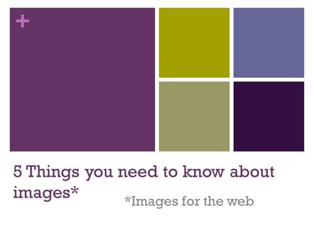 + 5 Things you need to know about images* *Images for the web.