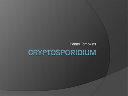 Penny Tompkins. Cryptosporidium  Cryptosporidium is a protozoan parasite in the phylum Apicomplexa  It causes a diarrheal illness called cryptosporidiosis.