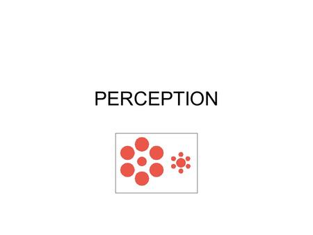 PERCEPTION. Why an issue? Sensory perception a key source of our beliefs about the world. Empiricism – senses the basis of knowledge.