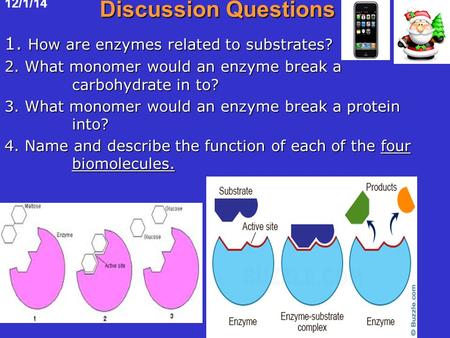 12/1/14 Discussion Questions 1. How are enzymes related to substrates? 2. What monomer would an enzyme break a carbohydrate in to? 3. What monomer would.