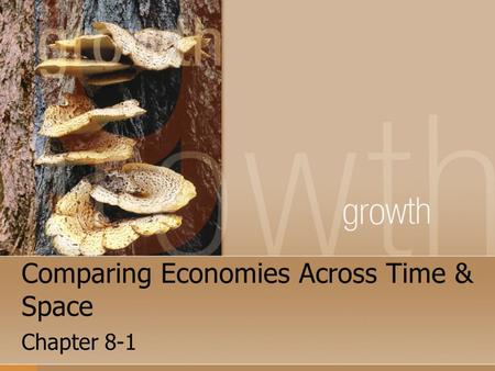 Comparing Economies Across Time & Space Chapter 8-1.