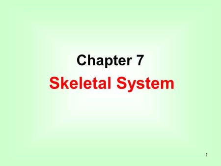 1 Chapter 7 Skeletal System. 2 Introduction A. Bones are very active tissues. B. Each bone is made up of several types of tissues and so is an organ.