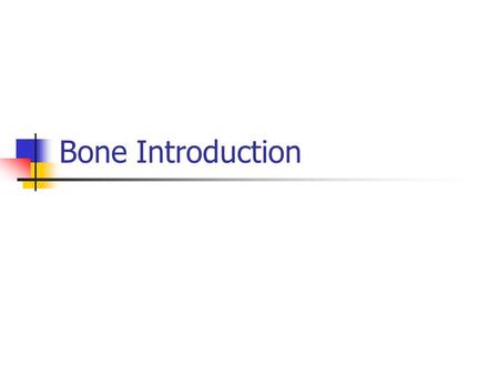 Bone Introduction. Bone Terminology Elevations Crests Lines Ridges.