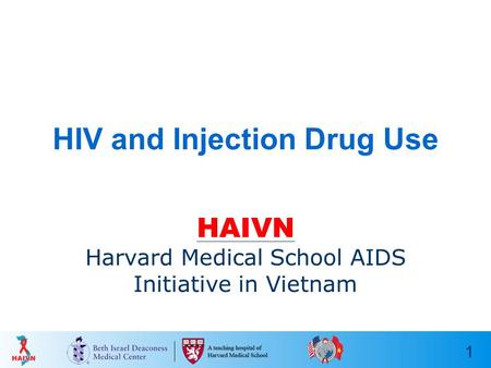 1 HIV and Injection Drug Use HAIVN Harvard Medical School AIDS Initiative in Vietnam.
