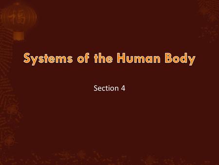 Section 4.  Objective  You will understand the functions of various body systems.