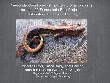 Pre-construction baseline monitoring of amphibians for the I-90 Snoqualmie East Project: Distribution, Detection, Tracking Pre-construction baseline monitoring.